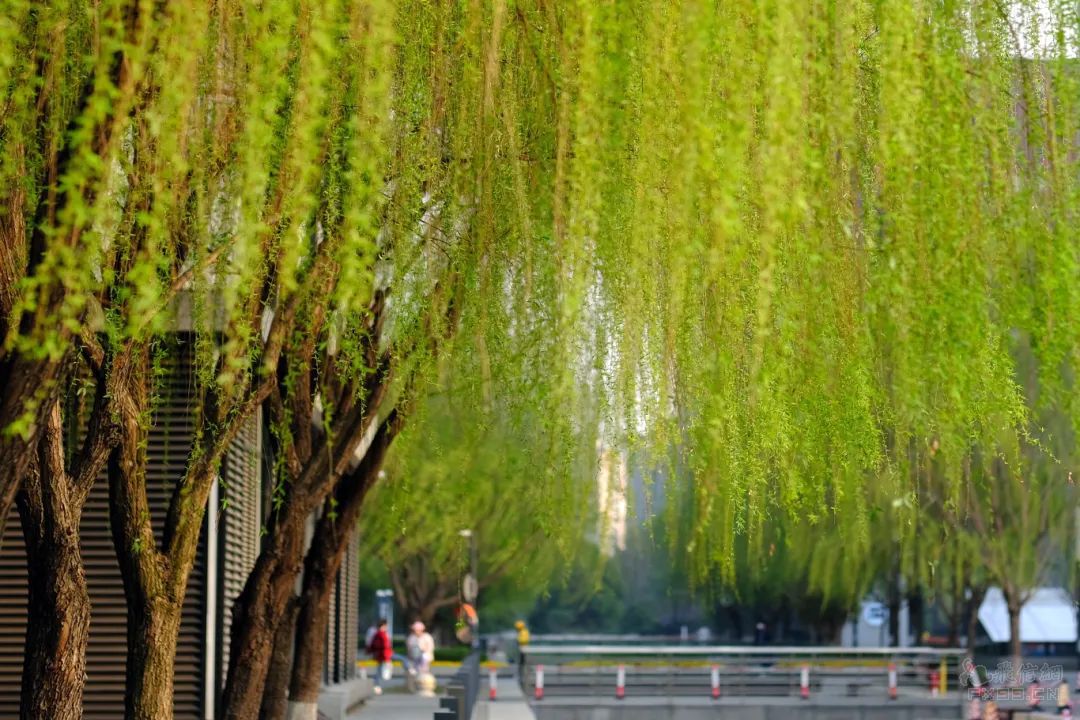 深化劳动力要素市场化改革 提升人力资源对高质量发展的支撑力